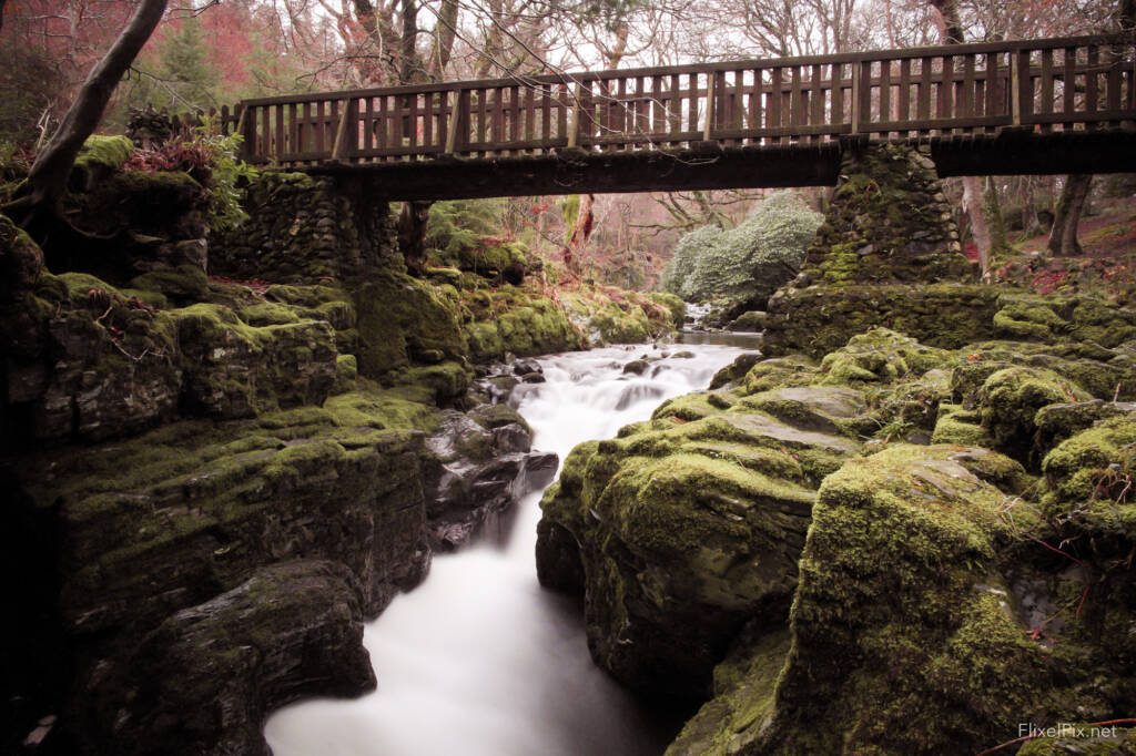 Tollymore Forest County Down Long Exposure Photography in Northern Ireland